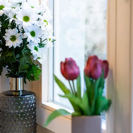 Apartamento In Der Altstadt