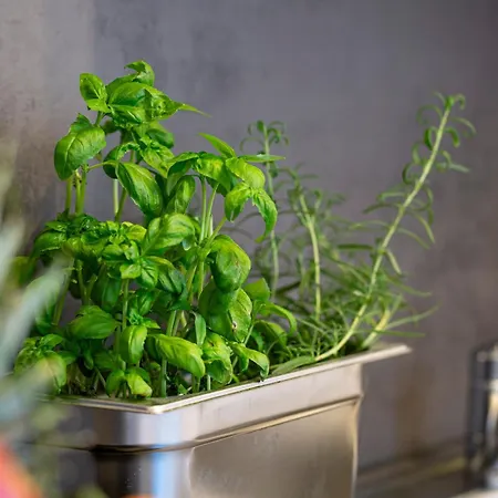 In Der Altstadt * Stralsund